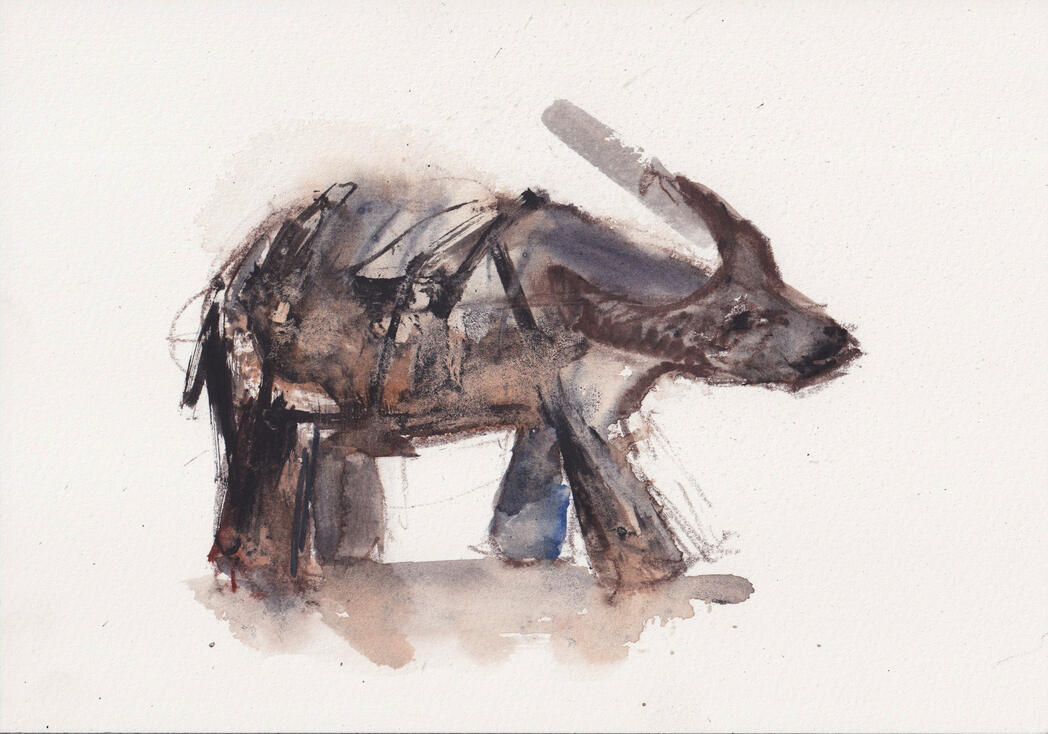 Carabao Watercolor painting of a caraboa