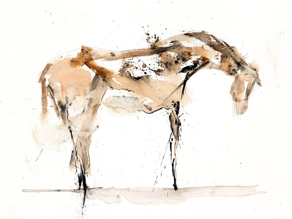 Deborah Watercolor painting of a horse